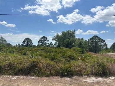 High dry corner lot on a paved road in Avon Park Lakes. Close to - photo 4