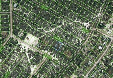 Lake Istokpoga Lot For Sale in Lake Placid Florida