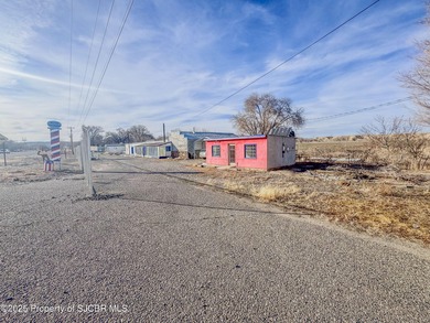 San Juan River Commercial For Sale in Waterflow New Mexico