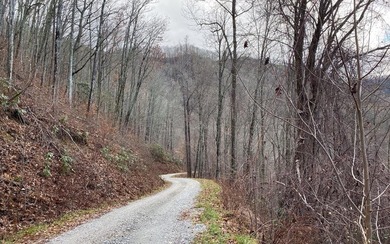 Set amid the natural beauty of the Nantahala Mountains, this 1 - photo 3