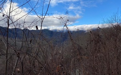 Set amid the natural beauty of the Nantahala Mountains, this 1 - photo 6
