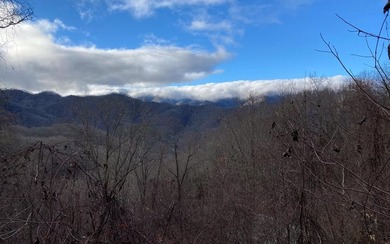 Set amid the natural beauty of the Nantahala Mountains, this 1 - photo 7