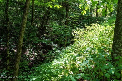 Set amid the natural beauty of the Nantahala Mountains, this 1 - photo 8