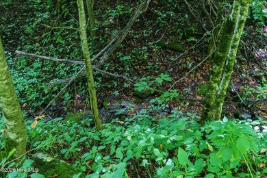 Set amid the natural beauty of the Nantahala Mountains, this 1 - photo 9