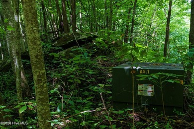 Set amid the natural beauty of the Nantahala Mountains, this 1 - photo 10