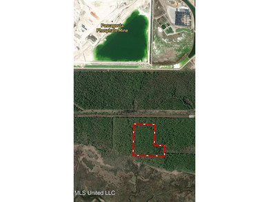 Discover 18 acres of natural beauty located in Moss Point - photo 4