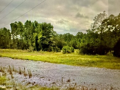 Discover 18 acres of natural beauty located in Moss Point - photo 6