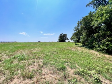 3 Acres in Lake Subdivision on Richland Chambers Lake! - photo 10