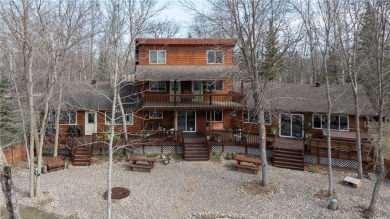 Big Pine Lake - Otter Trail County Home For Sale in Perham Minnesota