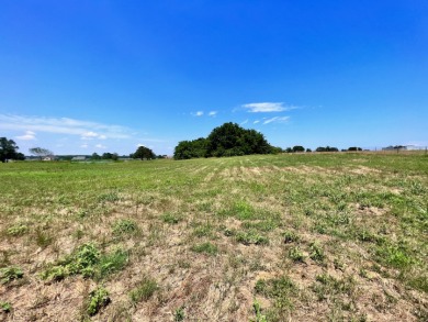 3 Acres in Lake Subdivision on Richland Chambers Lake! - photo 13