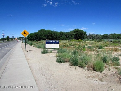 Animas River Acreage For Sale in Aztec New Mexico