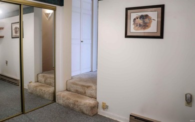 Experience stunning views of Lake Bruce from both the main level - photo 5