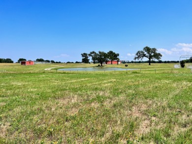 3 Acres in Lake Subdivision on Richland Chambers Lake! - photo 20