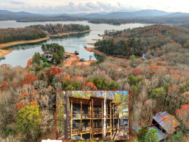 Lake Blue Ridge Home For Sale in Morganton Georgia