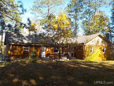 Lake Mary Home For Sale in Crystal Falls Michigan