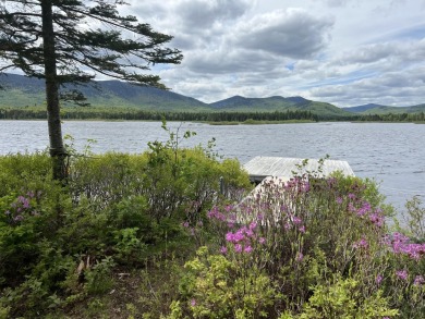 Lake Acreage For Sale in Stetsontown Twp, Maine