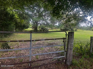 53+/- ACRES in PRIME Ormond Beach location in Volusia County - photo 4