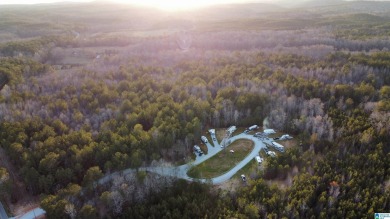 Lake Acreage For Sale in Cragford, Alabama