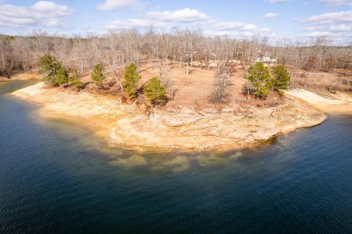 Lake Acreage For Sale in Arley, Alabama