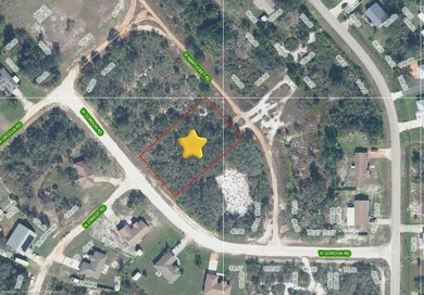WOW!!! OVER A HALF ACRE THAT APPEARS TO BE HIGH AND DRY!! - photo 2