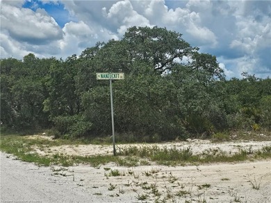 WOW!!! OVER A HALF ACRE THAT APPEARS TO BE HIGH AND DRY!! - photo 3