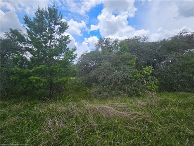 WOW!!! OVER A HALF ACRE THAT APPEARS TO BE HIGH AND DRY!! - photo 4