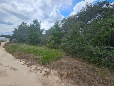 WOW!!! OVER A HALF ACRE THAT APPEARS TO BE HIGH AND DRY!! - photo 5