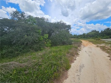 WOW!!! OVER A HALF ACRE THAT APPEARS TO BE HIGH AND DRY!! - photo 6