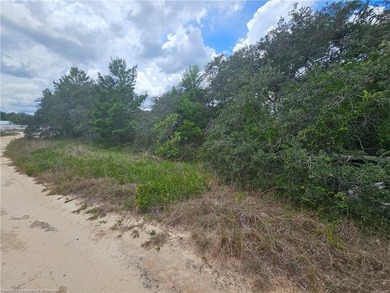 WOW!!! OVER A HALF ACRE THAT APPEARS TO BE HIGH AND DRY!! - photo 7