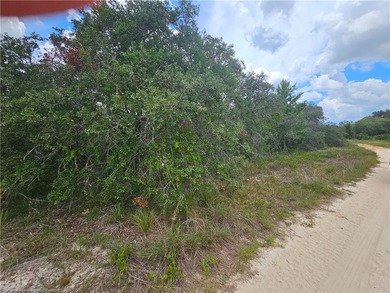 WOW!!! OVER A HALF ACRE THAT APPEARS TO BE HIGH AND DRY!! - photo 8