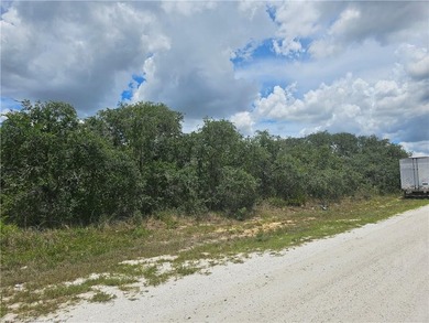 WOW!!! OVER A HALF ACRE THAT APPEARS TO BE HIGH AND DRY!! - photo 9