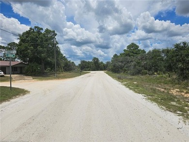 WOW!!! OVER A HALF ACRE THAT APPEARS TO BE HIGH AND DRY!! - photo 10