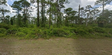 Lehigh Acres Area Lot For Sale in Alva Florida