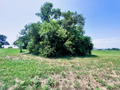 3 Acres in Lake Subdivision on Richland Chambers Lake! - photo 9