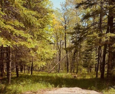 Lake Acreage For Sale in Engadine, Michigan