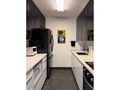 TASTEFULLY RE-DESIGNED ONE BEDRM ONE BATH D-LUXE,W SOLARIUM