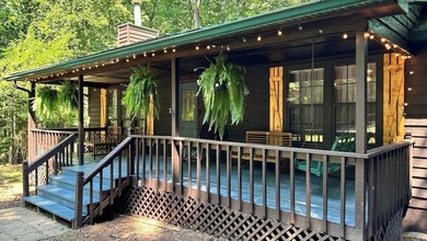 Coosawattee River Home For Sale in Ellijay Georgia
