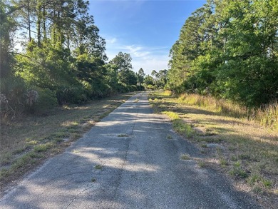 Discover the perfect opportunity to build your dream home in - photo 4