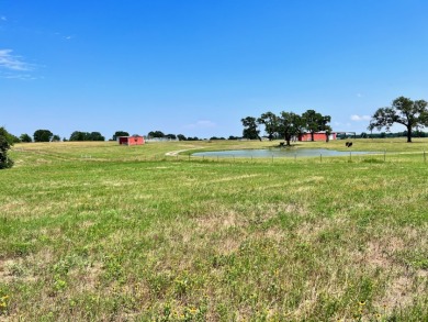 3 Acres in Lake Subdivision on Richland Chambers Lake! - photo 21