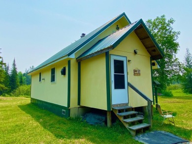 Lake Home For Sale in Newberry, Michigan