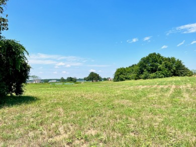 3 Acres in Lake Subdivision on Richland Chambers Lake! - photo 8