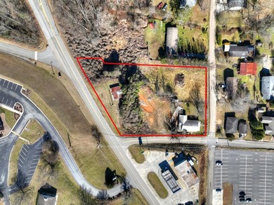 Lake Blue Ridge Commercial For Sale in Blue Ridge Georgia