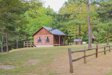  Home For Sale in Mena Arkansas