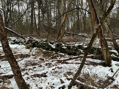 Sleepy Hollow Lake Lot For Sale in Athens New York