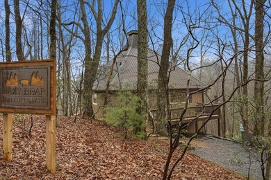 Lake Dakwa Home For Sale in Ellijay Georgia