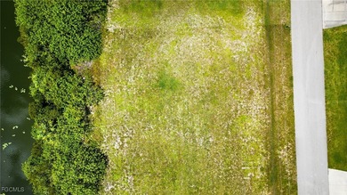 Cleared Freshwater Canal Lot with Southern Exposure located near - photo 3