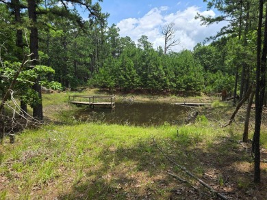 (private lake, pond, creek) Lot For Sale in Clayton Oklahoma