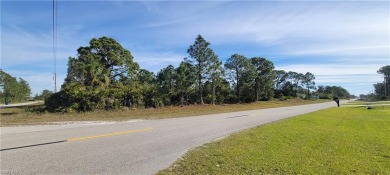 Lehigh Acres Area Lot For Sale in Lehigh Acres Florida