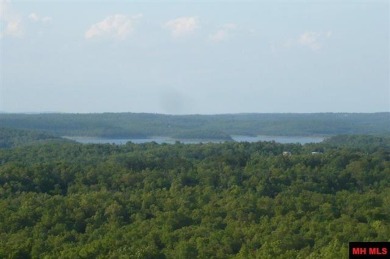 Bull Shoals Lake Lot For Sale in Flippin Arkansas