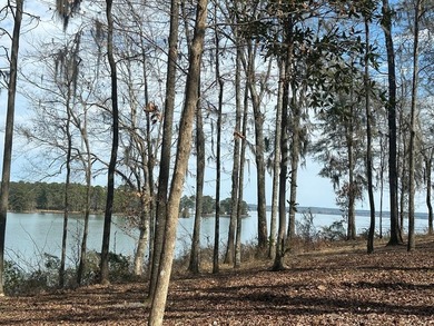 REDUCED!!! Experience ultimate lakeside living on 952 feet of - photo 38